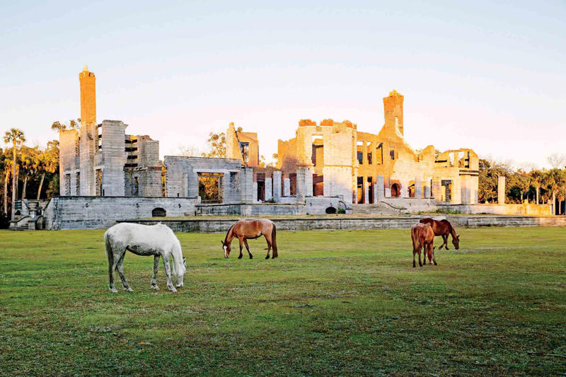 Where Is Cumberland Island?, Cumberland Island History, Tips For Getting To Cumberland Island, Best Things To Do, Where To Stay