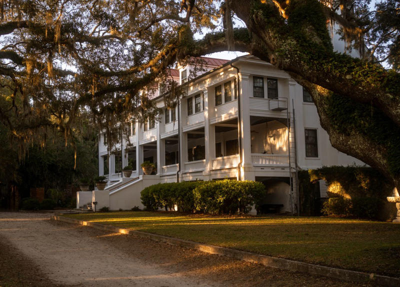 Where Is Cumberland Island?, Cumberland Island History, Tips For Getting To Cumberland Island, Best Things To Do, Where To Stay