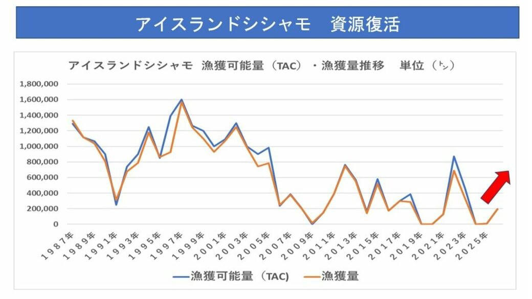シシャモの供給体制に「黄色信号」でも安心なワケ, 水揚げ量がすごいアイスランドのシシャモ漁, 消えゆくシシャモと何度もV字回復する北欧シシャモ, アイスランドの資源調査, 魚が消えていく本当の原因
