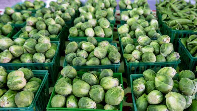 Florida oranges, Wild blueberries, High cacao chocolate, California Brussels sprouts, Domestic beef, Iceberg lettuce, Cottage cheese, Cauliflower, Florida's Asian vegetables