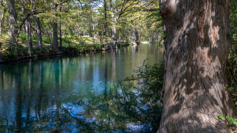 Fredericksburg, Wimberley, Dripping Springs, Johnson City, Methodology