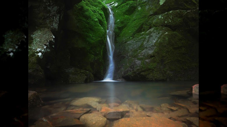 Bennett Spring State Park, Roaring River State Park, Johnson's Shut-Ins State Park, Onondaga Cave State Park, Sam A. Baker State Park, Methodology