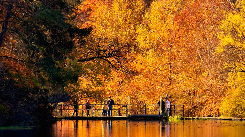 Bennett Spring State Park, Roaring River State Park, Johnson's Shut-Ins State Park, Onondaga Cave State Park, Sam A. Baker State Park, Methodology