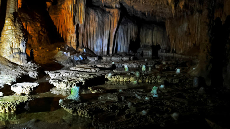Bennett Spring State Park, Roaring River State Park, Johnson's Shut-Ins State Park, Onondaga Cave State Park, Sam A. Baker State Park, Methodology