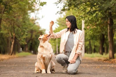 犬嫌いなワンコへの絶対NG行為3つ, 1.無理に挨拶させる, 2.リードを強く引く, 3.犬に吠えたときに叱る, 犬嫌いを慣れさせるコツ, 適切な距離を見極める, トレーニングを積む, 専門家に依頼する