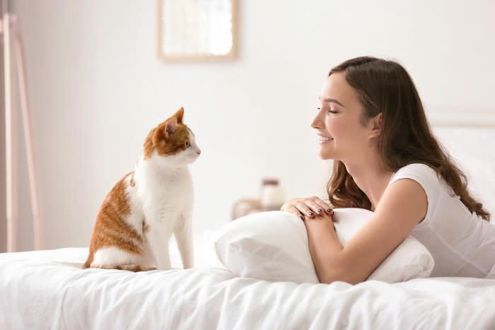 1.鳴いて起こす, 2.舐める・噛む, 3.体の上に乗る, 猫に起こされて困るときは？