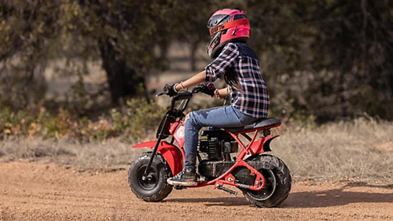 The Massimo MB100 is one alternative to the Coleman B100 mini bike, The FRP GMB100 is an even cheaper B100 alternative, Trailmaster and Massimo make good alternatives to the Coleman B200 mini bike., The Quiet Ease electric dirt bike is another good EVB200 alternative, How we chose these Coleman mini bike alternatives