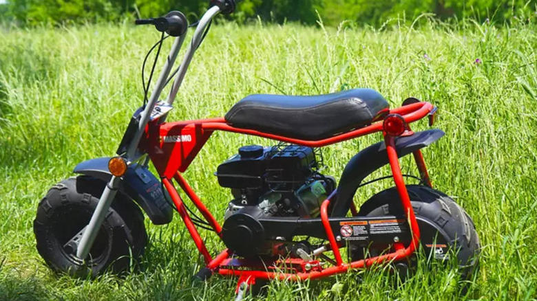 The Massimo MB100 is one alternative to the Coleman B100 mini bike, The FRP GMB100 is an even cheaper B100 alternative, Trailmaster and Massimo make good alternatives to the Coleman B200 mini bike., The Quiet Ease electric dirt bike is another good EVB200 alternative, How we chose these Coleman mini bike alternatives