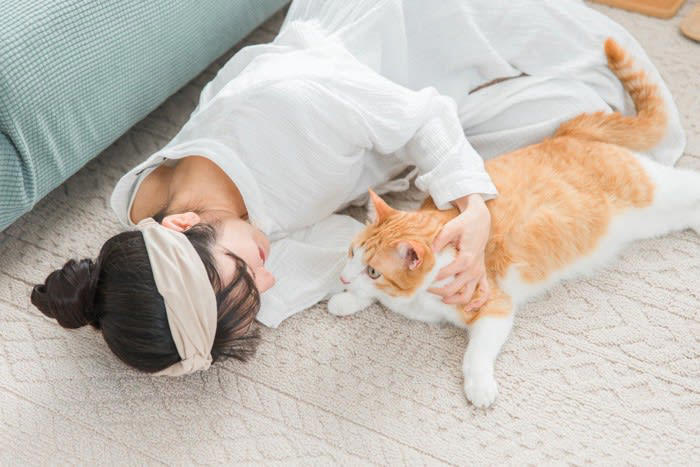 1.猫のペースを尊重した接し方, 2.健康を守るための食事ルール, 3.トイレを常に清潔に保つ習慣, 4.猫の目線で安全を徹底する環境づくり, 1.人間の都合を押し付ける接し方, 2.欲しがるままに食べ物を与える習慣, 3.トイレの汚れを放置する環境, 4.室内だからと安全を過信した管理