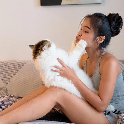 1.猫のペースを尊重した接し方, 2.健康を守るための食事ルール, 3.トイレを常に清潔に保つ習慣, 4.猫の目線で安全を徹底する環境づくり, 1.人間の都合を押し付ける接し方, 2.欲しがるままに食べ物を与える習慣, 3.トイレの汚れを放置する環境, 4.室内だからと安全を過信した管理