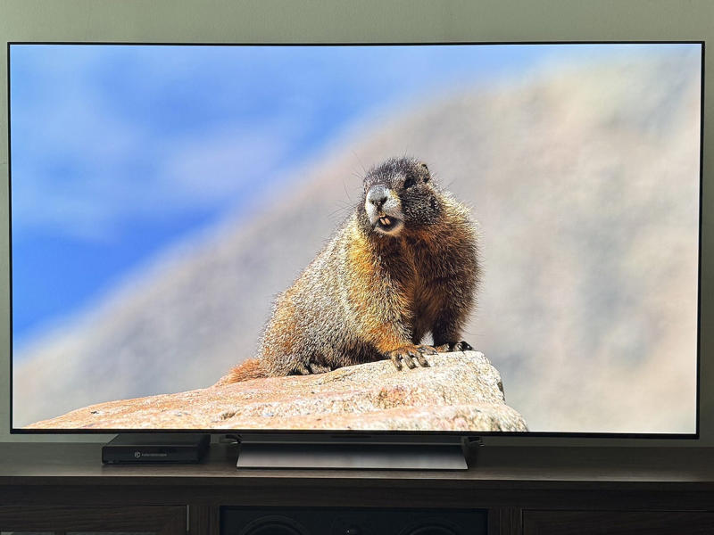 Our top picks for the best 85-inch TVs, Best overall, Best on a budget, Best midrange OLED, Best high-end model, How we test 85-inch TVs, 85-inch TV FAQs