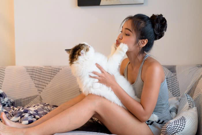 1.猫のペースを尊重した接し方, 2.健康を守るための食事ルール, 3.トイレを常に清潔に保つ習慣, 4.猫の目線で安全を徹底する環境づくり, 1.人間の都合を押し付ける接し方, 2.欲しがるままに食べ物を与える習慣, 3.トイレの汚れを放置する環境, 4.室内だからと安全を過信した管理
