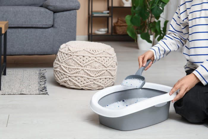 1.猫のペースを尊重した接し方, 2.健康を守るための食事ルール, 3.トイレを常に清潔に保つ習慣, 4.猫の目線で安全を徹底する環境づくり, 1.人間の都合を押し付ける接し方, 2.欲しがるままに食べ物を与える習慣, 3.トイレの汚れを放置する環境, 4.室内だからと安全を過信した管理