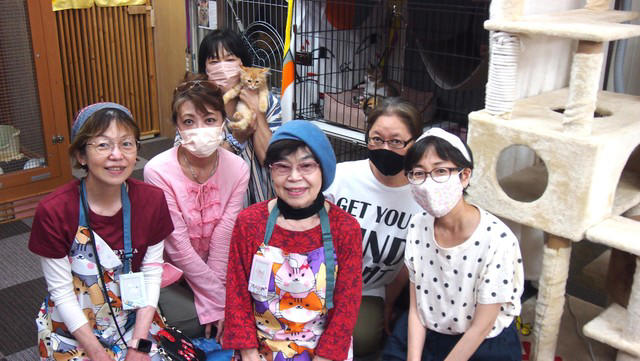 野良猫からベタベタ甘々猫に, はっちゃんは怒っています, 猫も人も見つめ続けてきたから, 30年前の夢リストを今
