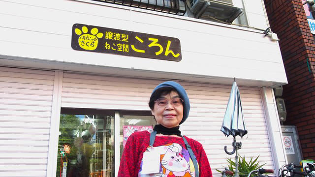 野良猫からベタベタ甘々猫に, はっちゃんは怒っています, 猫も人も見つめ続けてきたから, 30年前の夢リストを今