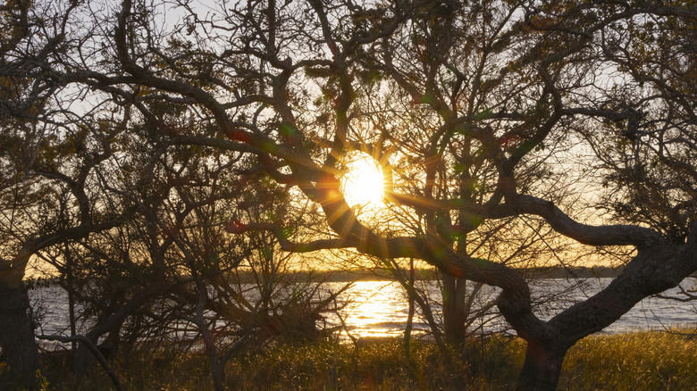 Western mountains: Nantahala National Forest, Foothills: South Mountains State Park, Piedmont lakes: Kerr Lake State Recreation Area, Outer Banks beaches: Oregon Inlet Campground, Southeast coastline: Carolina Beach State Park, Methodology