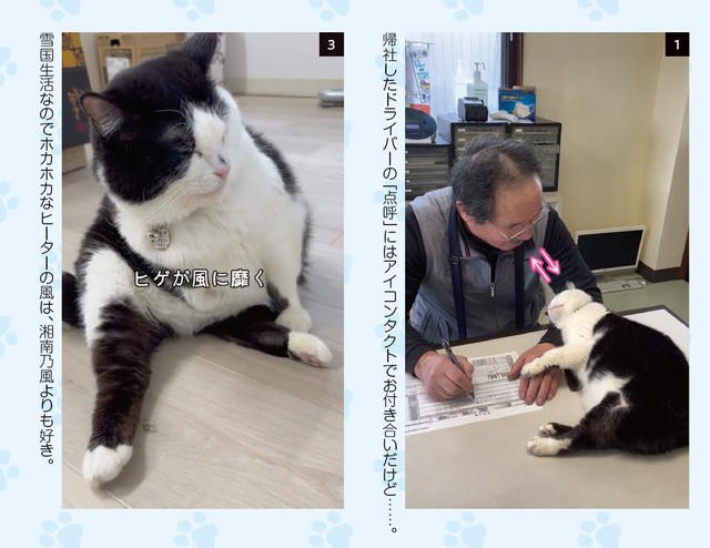 猫の広報部長が活躍する運送会社がある, 猫の広報部長の右前足は欠損していた, 初めて出会った「ふく」は穏やかな猫だった, ふくは瀕死の状態で発見された, 社員としての自覚？ 従業員の送迎をするふく, 皆がふくを温かく見守り、気持ちが一つになる