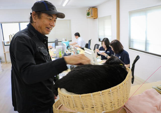 猫の広報部長が活躍する運送会社がある, 猫の広報部長の右前足は欠損していた, 初めて出会った「ふく」は穏やかな猫だった, ふくは瀕死の状態で発見された, 社員としての自覚？ 従業員の送迎をするふく, 皆がふくを温かく見守り、気持ちが一つになる