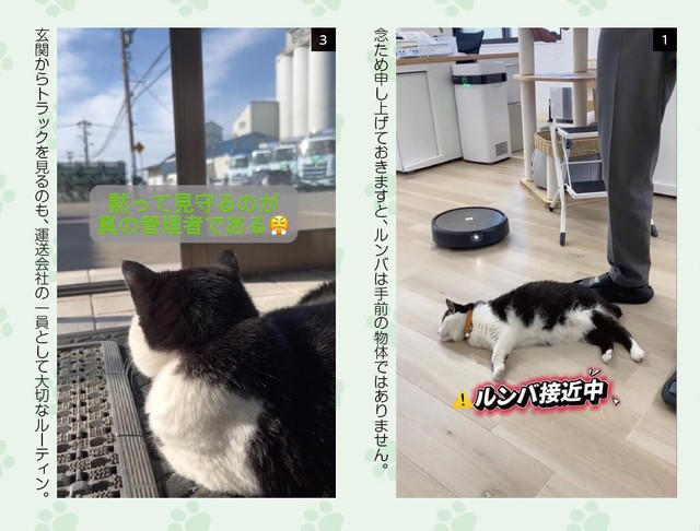 猫の広報部長が活躍する運送会社がある, 猫の広報部長の右前足は欠損していた, 初めて出会った「ふく」は穏やかな猫だった, ふくは瀕死の状態で発見された, 社員としての自覚？ 従業員の送迎をするふく, 皆がふくを温かく見守り、気持ちが一つになる