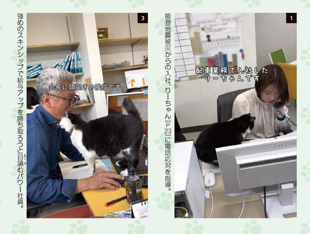 猫の広報部長が活躍する運送会社がある, 猫の広報部長の右前足は欠損していた, 初めて出会った「ふく」は穏やかな猫だった, ふくは瀕死の状態で発見された, 社員としての自覚？ 従業員の送迎をするふく, 皆がふくを温かく見守り、気持ちが一つになる