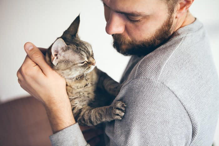 猫に嫌がられない「抱っこ」の方法4選, 1.まずは優しく声をかけて安心させる, 2.両手でしっかり脇の下と後ろ足を支える, 3.猫の体を自分の体に密着させて安定させる, 4.満足する前に自分からそっと降ろしてあげる, これはNG！やってはいけない抱き方, もっと仲良くなるためのポイント