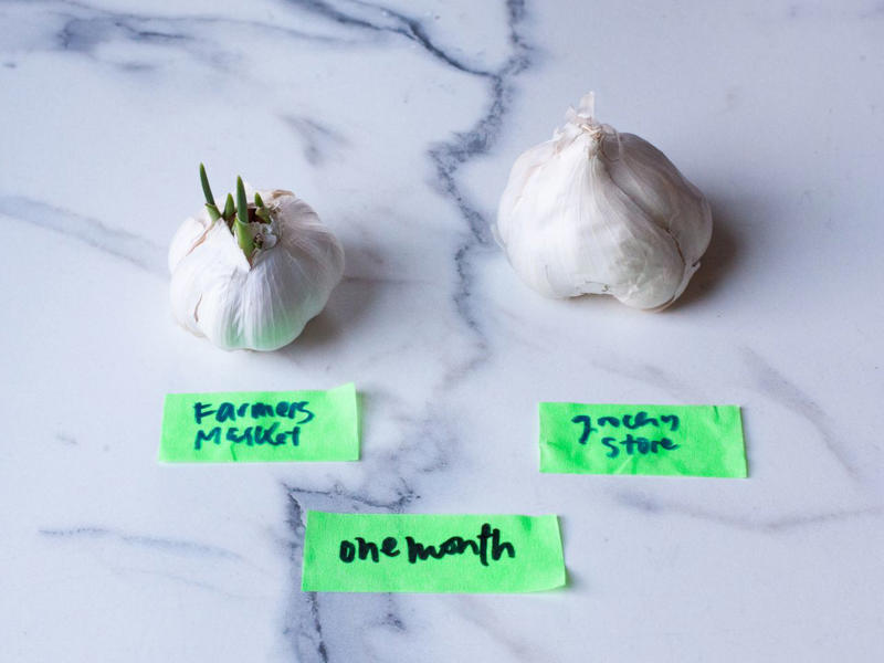 Garlic Basics, How to Store Garlic, According to Experts, How to Shop for Garlic, The Tests