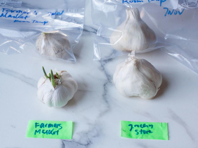 Garlic Basics, How to Store Garlic, According to Experts, How to Shop for Garlic, The Tests