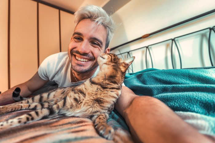 猫が話しかけてくるときの理由, 2.かまってほしい, 3.気に入らないことがある, 5.返事をしている, 話しかけてきた猫への上手な応え方, 名前を呼ぶのは良い時だけにする