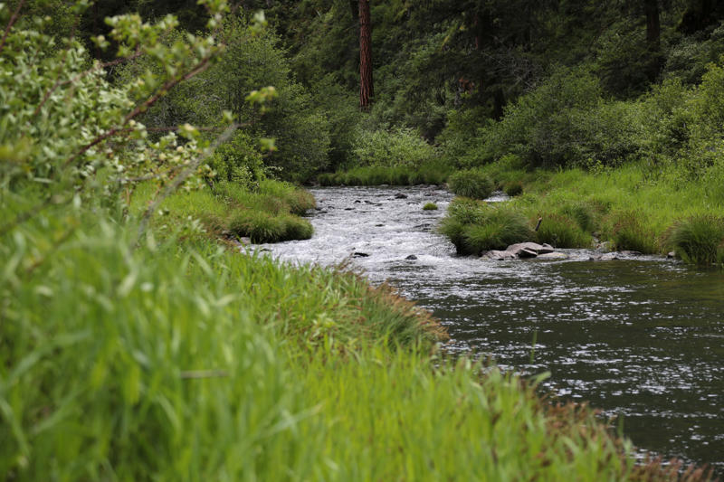 20. Umpqua State Scenic Corridor, 19. Fall Creek State Recreation Area, 18. Munson Creek Falls State Natural Site, 17. Hilgard Junction State Recreation Area, 16. Fort Rock State Natural Area, 15. J.S. Burres Day Use Area, 14. Clay Myers State Natural Area at Whalen Island, 13. Cottonwood Canyon State Park, 12. Catherine Creek State Park, 11. Unity Lake State Recreation Site, 10. Goose Lake State Recreation Area, 9. Geisel Monument State Heritage Site, 8. Sumpter Valley Dredge State Heritage Site, 7. Koberg Beach State Recreation Site, 6. Bates State Park, 5. Jackson F. Kimball State Recreation Site, 4. Red Bridge State Wayside, 3. Ukiah-Dale Forest State Scenic Corridor, 2. Golden & Silver Falls State Natural Area, 1. Battle Mountain Forest State Scenic Corridor
