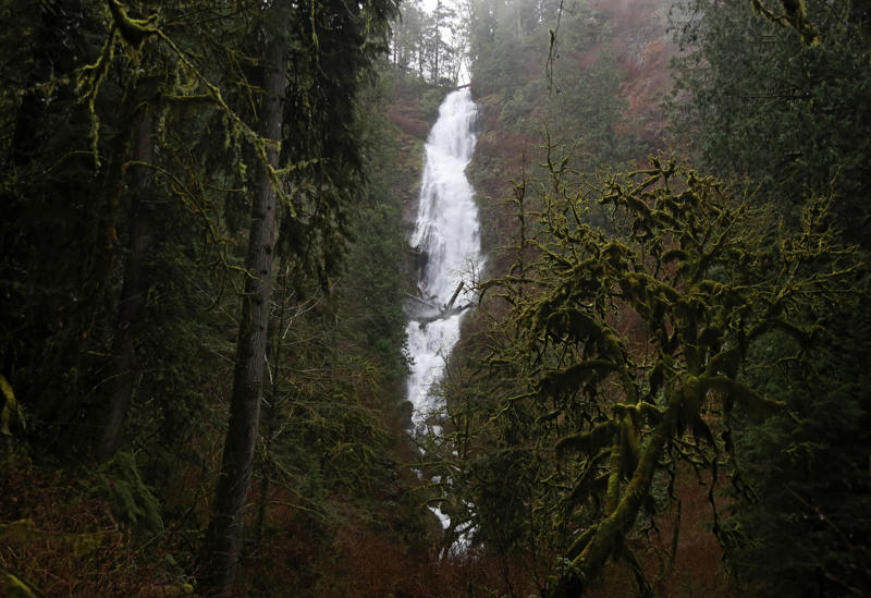20. Umpqua State Scenic Corridor, 19. Fall Creek State Recreation Area, 18. Munson Creek Falls State Natural Site, 17. Hilgard Junction State Recreation Area, 16. Fort Rock State Natural Area, 15. J.S. Burres Day Use Area, 14. Clay Myers State Natural Area at Whalen Island, 13. Cottonwood Canyon State Park, 12. Catherine Creek State Park, 11. Unity Lake State Recreation Site, 10. Goose Lake State Recreation Area, 9. Geisel Monument State Heritage Site, 8. Sumpter Valley Dredge State Heritage Site, 7. Koberg Beach State Recreation Site, 6. Bates State Park, 5. Jackson F. Kimball State Recreation Site, 4. Red Bridge State Wayside, 3. Ukiah-Dale Forest State Scenic Corridor, 2. Golden & Silver Falls State Natural Area, 1. Battle Mountain Forest State Scenic Corridor