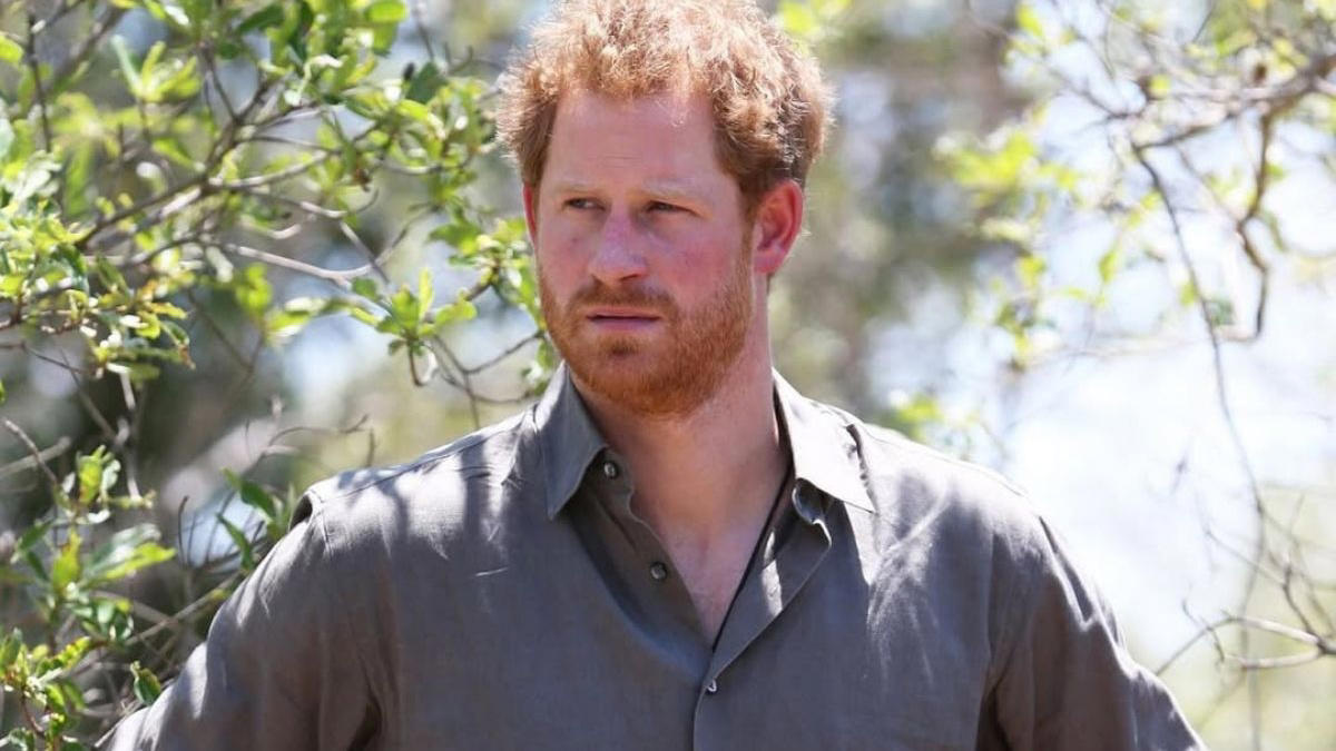 1 Prince Harry's yearning for belonging, 2 Meghan Markle's firm rejection of the past, 3 The fracture in the marriage commitment, 4 The pressure of British public opinion, 5 The well-being and security of their children, 6 The necessary mediation with the royal family, 7 The impact on their current professional projects, 8 The Prince's loneliness in California, 9 Incompatibility of lifestyles, 10 The role of official security in London, 11 Professional maturity in the face of crisis, 2 The shadow of a media divorce
