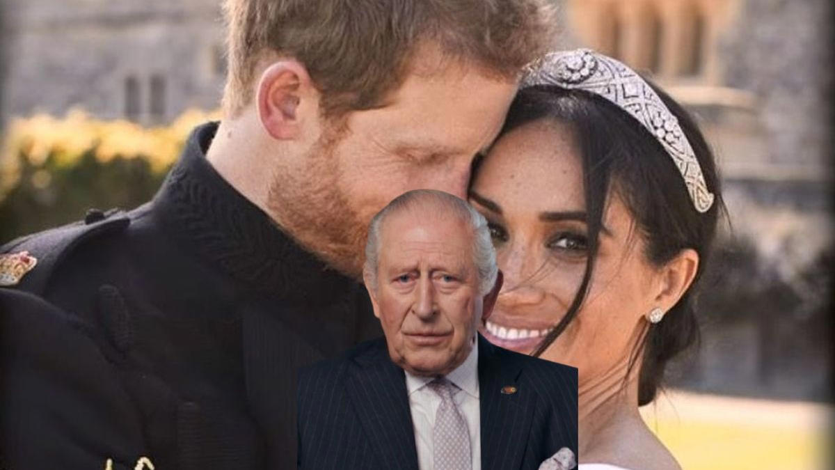 1 Prince Harry's yearning for belonging, 2 Meghan Markle's firm rejection of the past, 3 The fracture in the marriage commitment, 4 The pressure of British public opinion, 5 The well-being and security of their children, 6 The necessary mediation with the royal family, 7 The impact on their current professional projects, 8 The Prince's loneliness in California, 9 Incompatibility of lifestyles, 10 The role of official security in London, 11 Professional maturity in the face of crisis, 2 The shadow of a media divorce