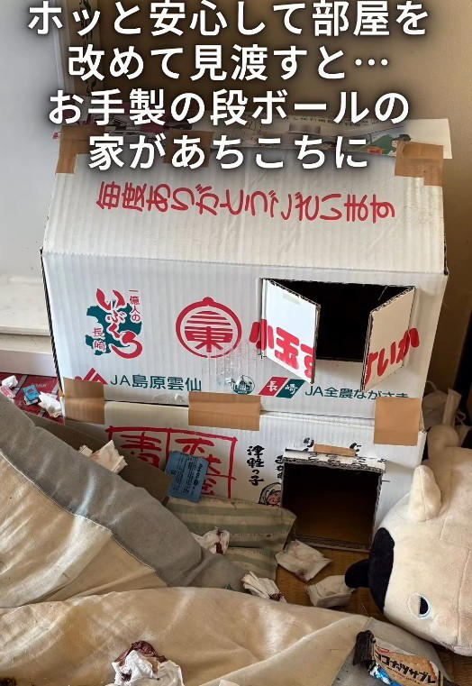 関係者からの連絡で判明した緊急事態, 物音を立てず、猫を探す…息詰まる捕獲の瞬間, 「ガリガリに痩せている」命の危険を感じ、すぐ病院へ, 「本気パンチが出るほど元気になった」, 「もしもの時」を考えることも、飼い主の愛情