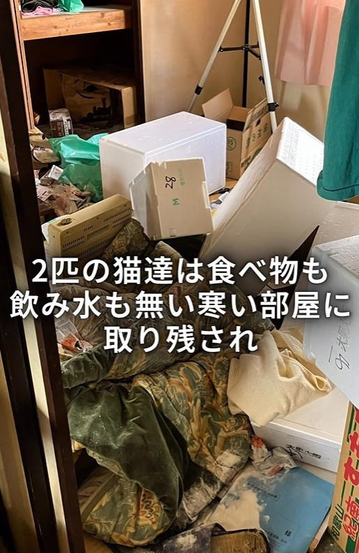 関係者からの連絡で判明した緊急事態, 物音を立てず、猫を探す…息詰まる捕獲の瞬間, 「ガリガリに痩せている」命の危険を感じ、すぐ病院へ, 「本気パンチが出るほど元気になった」, 「もしもの時」を考えることも、飼い主の愛情