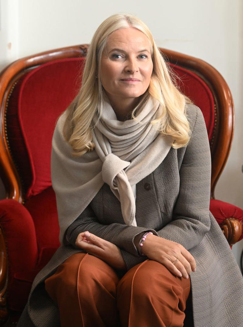 "Southern girl", She was a single mother, Her Prince Charming, She married into the royal family in 2001, Welcoming two more children, She has chronic lung disease, A future queen?, The Epstein messages and fallout