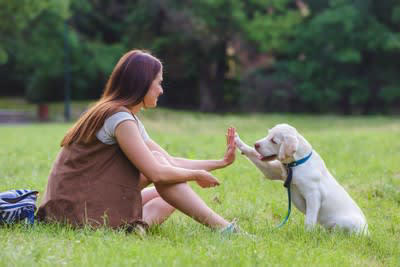 犬が遊ぼうと言っているときの仕草や行動5つ, 1.じっと見つめてくる, 2.前足でちょいちょいする, 3.お尻を高く上げるポーズを見せる, 4.おもちゃを持ってくる, 5.スリスリしてくる, 犬に誘われたときの正しい対応, 遊べるときは全力で！, 遊びの終わりは飼い主が決める, 遊べないときはきっぱり断る, 乱暴な誘い方には応じない