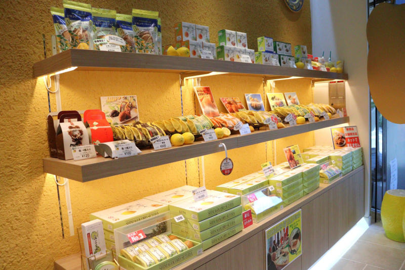 見回す限りレモン尽くし！ 銀座でレモンに溺れる, 皮まで主役。レモンを一切無駄にしない、“香り”を楽しむレモンスイーツ, ①島ごころといえばこれ！ 代表商品「レモンケーキ」, ②レモンケーキだけじゃない！ レモンをとことん堪能できる、専門店ならではのラインナップ, ③銀座店イチオシ！ 本場イタリア仕込みの「レモンパネットーネ」, 「レモンケーキ」をより身近に感じてほしい。そんな想いを東京・銀座の地から発信