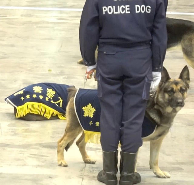 「知らない人間が大勢いる非日常空間でもリラックスできる」←これが出来るのがエリート犬, 「警察犬の能力」に驚き, 賢くて可愛い「千葉県警に所属する警察犬たち」, 子ども以上に大人が楽しそうでした