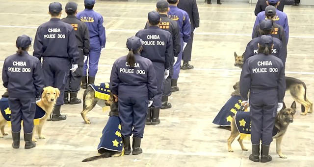 「知らない人間が大勢いる非日常空間でもリラックスできる」←これが出来るのがエリート犬, 「警察犬の能力」に驚き, 賢くて可愛い「千葉県警に所属する警察犬たち」, 子ども以上に大人が楽しそうでした