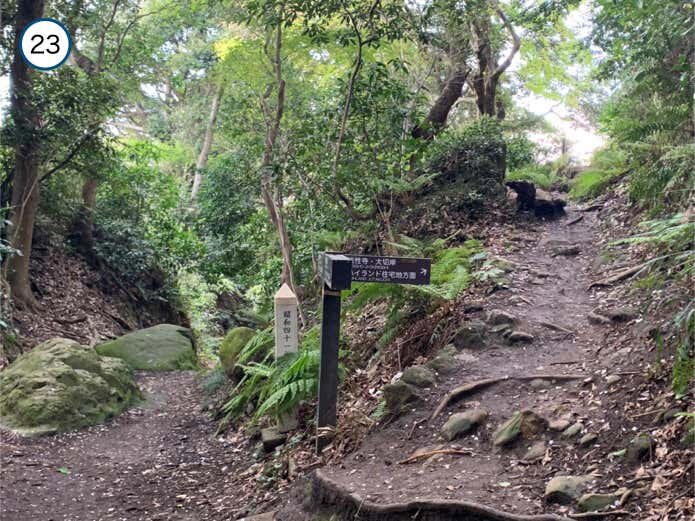 名越切通しハイキングコース概要, Section1：名越バス停〜登山口（1.7km・約29分）, Section2：登山口〜法性寺（1.6km・約47分）, Section3：法性寺〜逗子駅（2.8km・約40分）