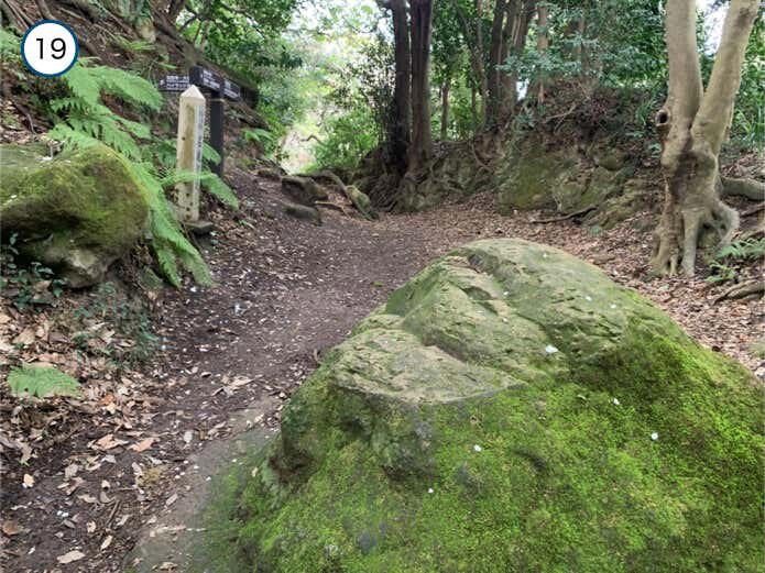 名越切通しハイキングコース概要, Section1：名越バス停〜登山口（1.7km・約29分）, Section2：登山口〜法性寺（1.6km・約47分）, Section3：法性寺〜逗子駅（2.8km・約40分）