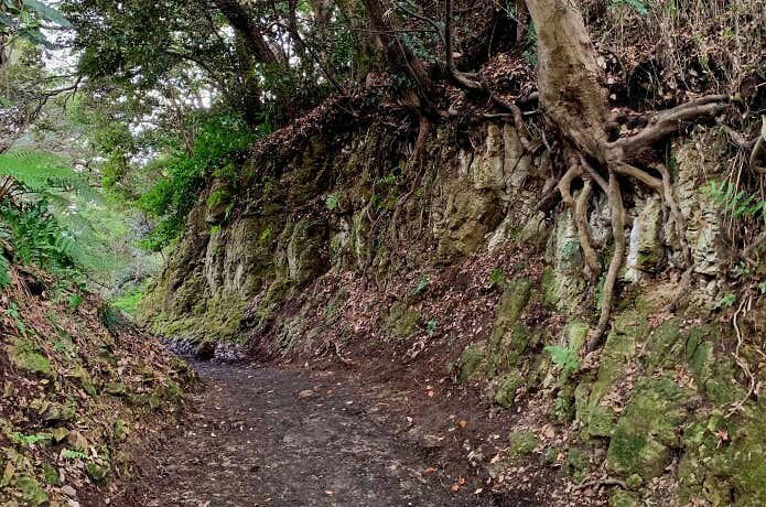 名越切通しハイキングコース概要, Section1：名越バス停〜登山口（1.7km・約29分）, Section2：登山口〜法性寺（1.6km・約47分）, Section3：法性寺〜逗子駅（2.8km・約40分）