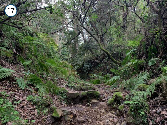 名越切通しハイキングコース概要, Section1：名越バス停〜登山口（1.7km・約29分）, Section2：登山口〜法性寺（1.6km・約47分）, Section3：法性寺〜逗子駅（2.8km・約40分）