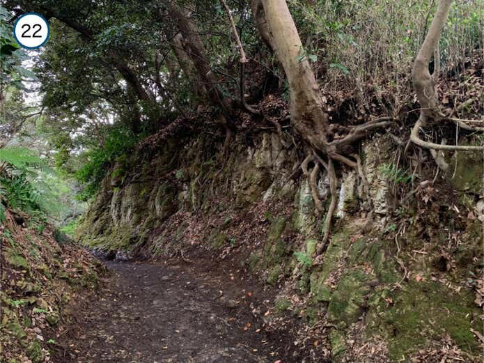 名越切通しハイキングコース概要, Section1：名越バス停〜登山口（1.7km・約29分）, Section2：登山口〜法性寺（1.6km・約47分）, Section3：法性寺〜逗子駅（2.8km・約40分）