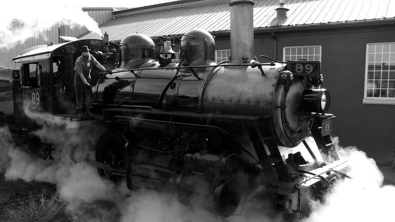 The Fairy Queen, Norfolk and Western 475, Canadian National 89, Brooklyn Eastern District Terminal 15, Great Western 90, Union Pacific 4014