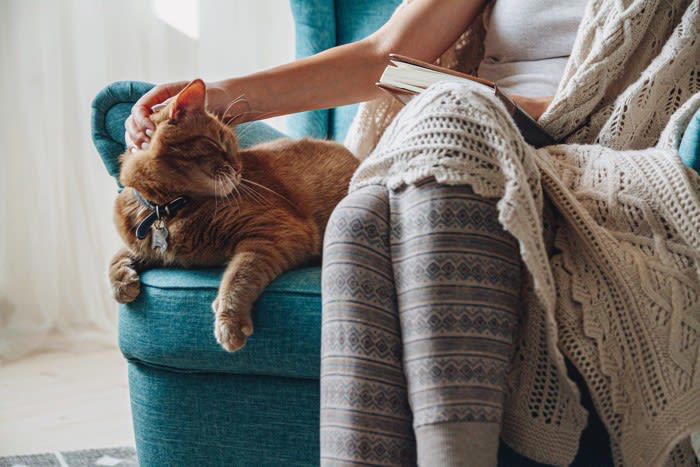 猫が飼い主の「椅子に座りたがる」5つの理由, 1.飼い主の匂いがして安心するから, 2.座面が温かくて気持ちいいから, 3.高さがちょうどよくて落ち着くから, 4.飼い主の関心を自分に向けたいから, 5.「ここは自分の場所だ」と主張しているから, 無理やりどかすのはNG？正しい対処法