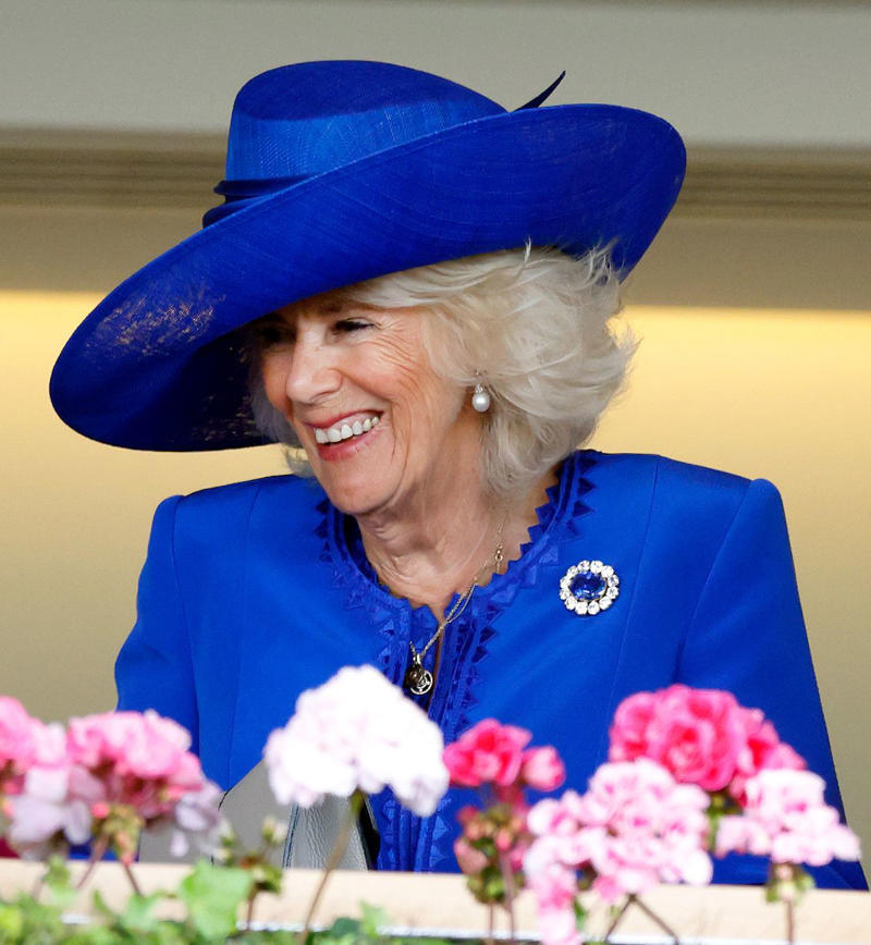 Some are hundreds of years old., The Oriental Circlet Tiara, Queen Mary of Denmark's Engagement Ring, The Coronation Spoon, Queen Elizabeth's Three Stranded Pearls, Prince Albert's Sapphire Brooch, Queen Maxima of the Netherland's Engagement Ring, The Girls of Great Britain and Ireland Tiara, Meghan Markle's Engagement Ring, The Nizam of Hyderabad Diamond Necklace, The Vladimir Circle Tiara, Queen Elizabeth's Engagement Ring, Grace Kelly's Engagement Ring, Collingwood Diamond and Pearl Earrings, Queen Elizabeth's Brooch, Queen Alexandra Parure, The Black Orlov Diamond, Queen Mary Fringe Tiara, Bahrain Pearl Diamond Drop Earrings, The Missing Lozenge Bandeau, Princess Diana's Engagement Ring, The Sovereign’s Scepter, Lover's Knot Tiara, The Crown of Queen Elizabeth the Queen Mother, The French Crown Jewels, Regent Diamond, The Kokoshnik Tiara, Cartier Halo Tiara, The Savoy Jewels, The Imperial State Crown