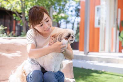 犬の「目ヤニ」絶対NGなお手入れ3選, 1.乾いたティッシュで無理やり取る, 2.人間の目薬を勝手に使う, 3.指の爪でひっかいて取る, 目ヤニが悪化する主な原因とは, 初心者でも簡単な正しい目ヤニのケア方法, こんな時は病院へ