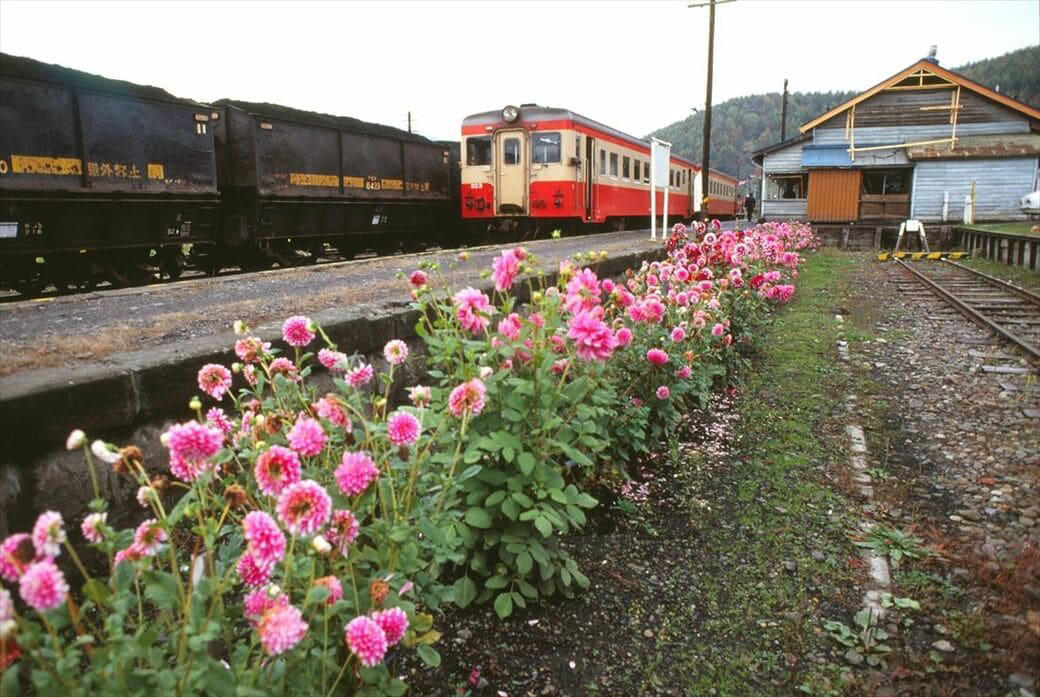 「雄大すぎる」風景に圧倒, 消えた絶景路線の数々, 留萌本線が「連ドラ」の舞台になったきっかけ, 留萌本線が適していた理由, 「鉄道取材」だが足は車に, 思い出は尽きないが…
