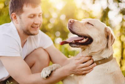 犬が「おもしろくない」と思っているときの行動4選, 1.大きなため息をつく, 2.あくびを何度もする, 3.前足をずっとなめ続ける, 4.鼻を鳴らして見つめてくる, 5.わざと背中を向けて座る, なぜ不満を感じてしまうのか？, 愛犬の「つまらない」を解消する方法